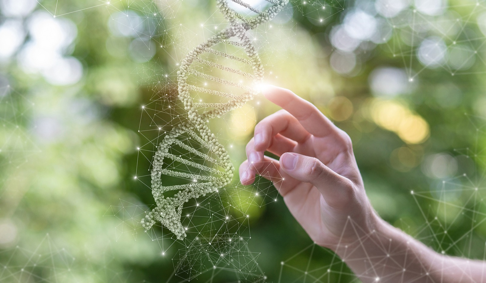 Section 1 How Emboded Carbon is Like DNA