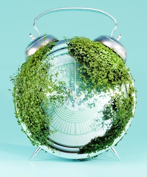 sustainability consultants
