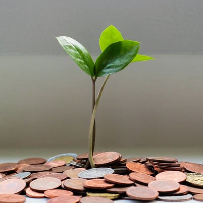 sustainability costs