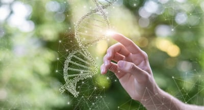 embodied carbon