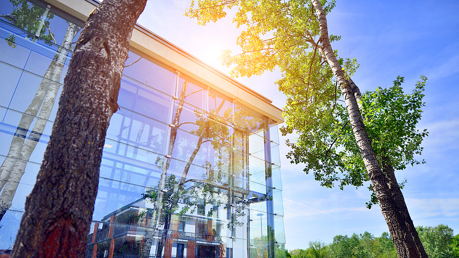 Sustainable Architecture 