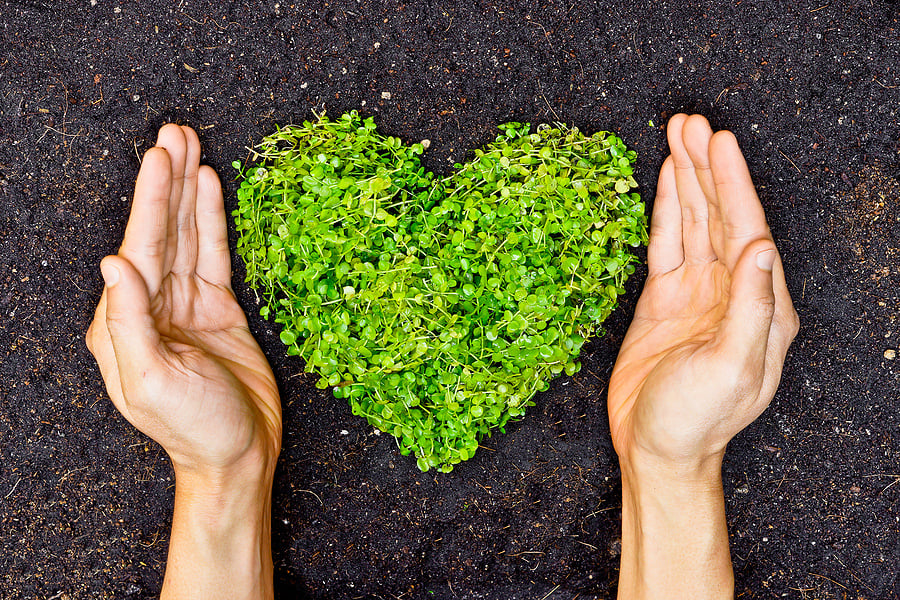 sustainability